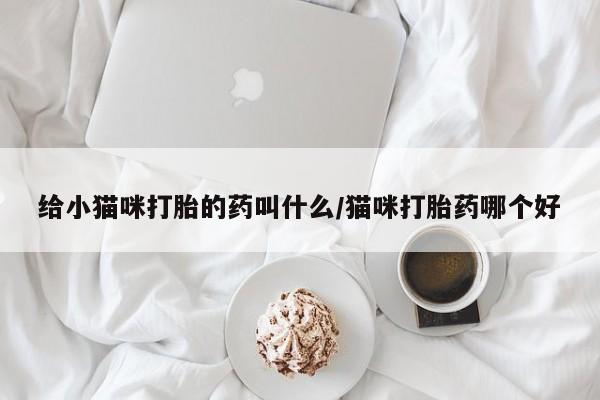 私下打胎药在线购买，给小猫咪打胎的药叫什么/猫咪打胎药哪个好