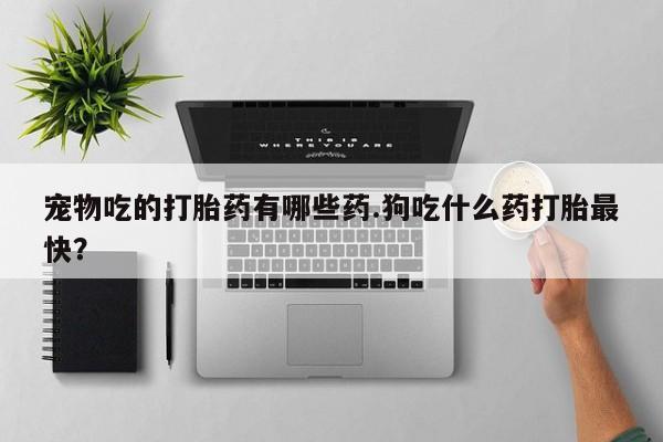 私下打胎药在线购买，宠物吃的打胎药有哪些药.狗吃什么药打胎最快？