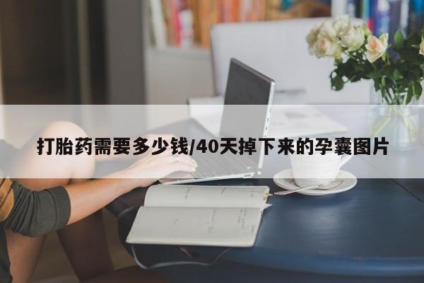 私下打胎药在线购买，打胎药需要多少钱/40天掉下来的孕囊图片